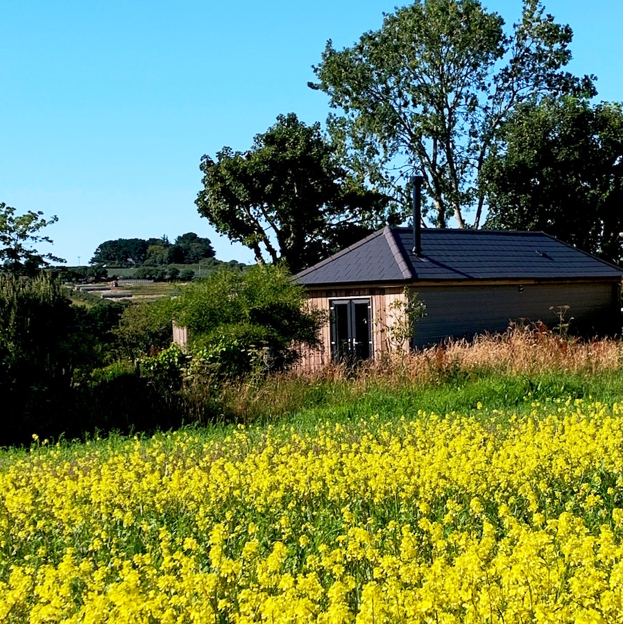 Having just relocated from London to Cornwall, our homeowners Jo and Richard were eager to make the most of their beautiful, countryside surroundings. With a previously derelict outhouse on their property, they decided to transform this into Little Barn - a rural retreat in the form of a welcoming guest annex.